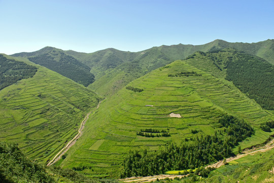 蓝天白云青山绿树