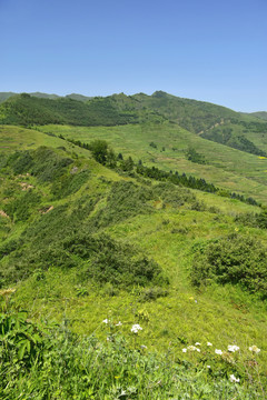 蓝天白云青山绿树