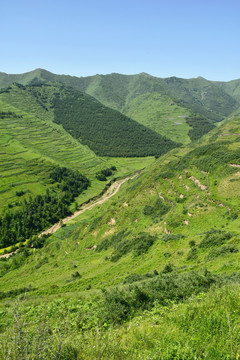 蓝天白云青山绿树