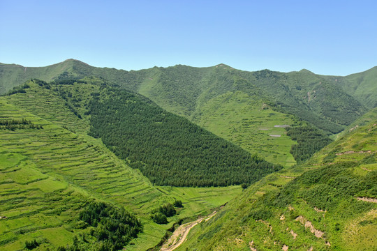 蓝天白云青山绿树