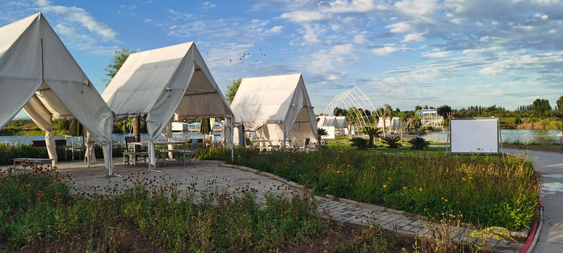曼园露营地的蓝天草地和帐篷