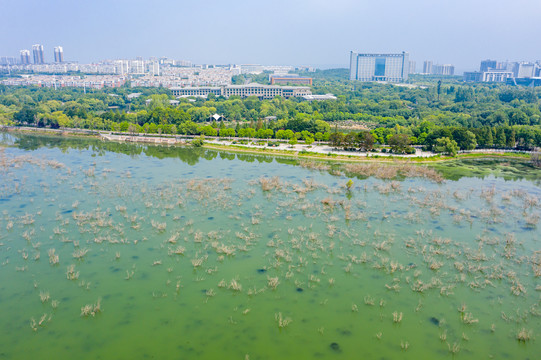 航拍河南平顶山白龟湖湿地公园