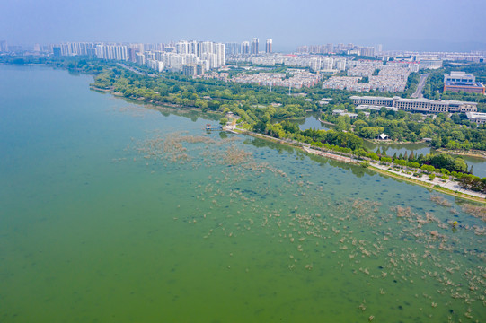 航拍河南平顶山白龟湖湿地公园