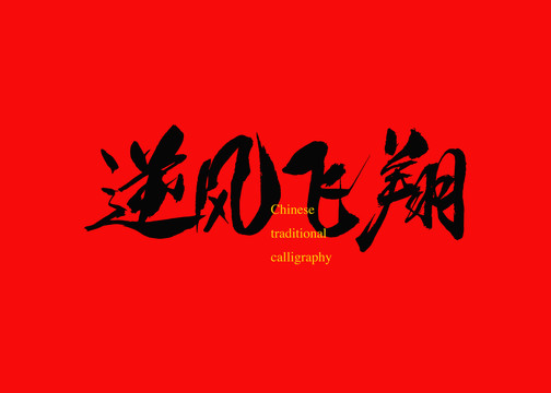 逆風(fēng)飛翔