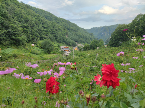 神农架桃花谷