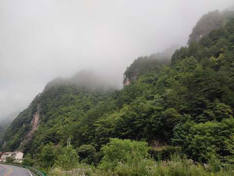 神农架野马河畔