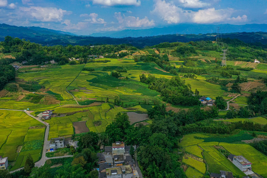 田园