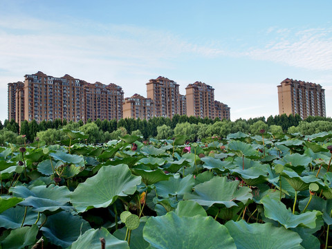 山东莒南鸡龙河风光