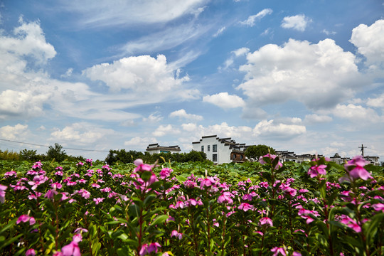 安徽省黄山市西溪南风景区