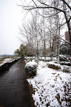 旌湖雪景