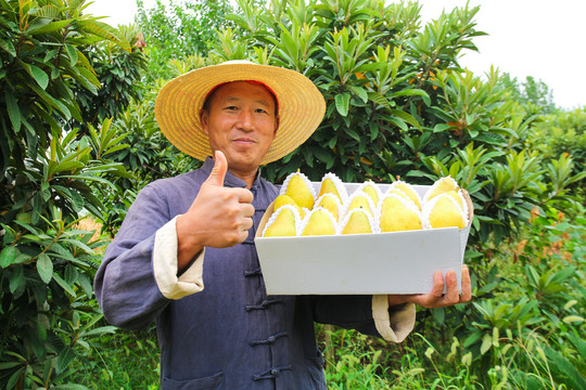 农民手里拿着一箱太婆梨