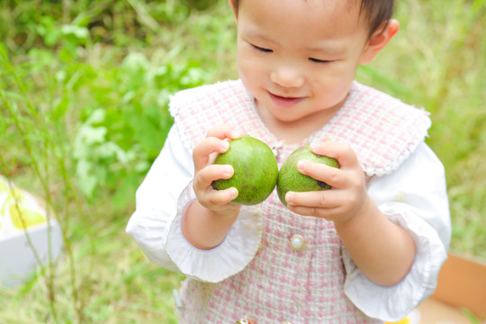 小孩手里拿着青核桃