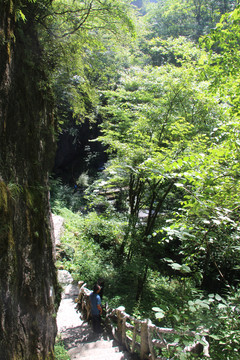 秘境神农架画廊谷美景