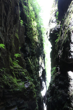 秘境神农架画廊谷美景一线天