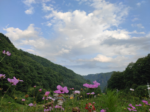 秘境神农架桃花谷