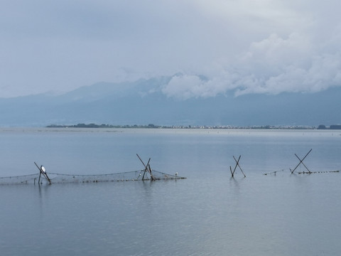 洱海