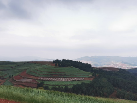 红土地梯田