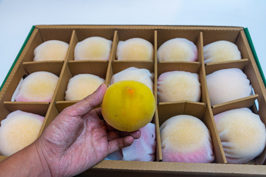中秋节新鲜上市的黄桃水果