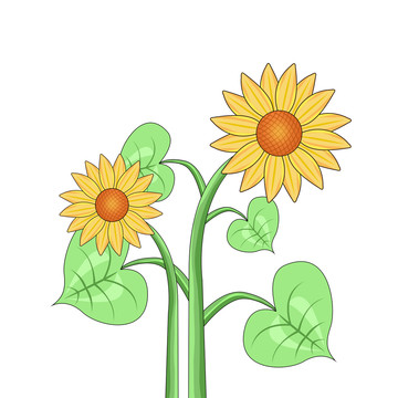 向日葵插畫(huà)