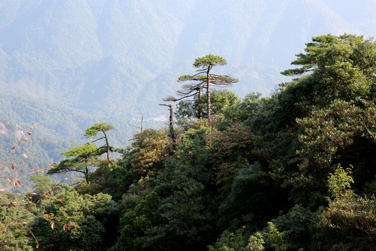 三清山阳光海岸景区