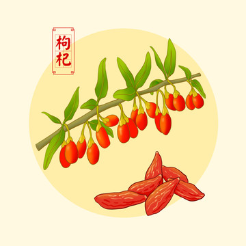 枸杞
