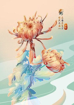 國(guó)潮菊花