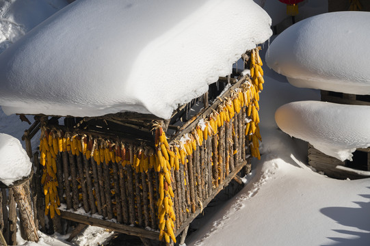 雪乡玉米堆