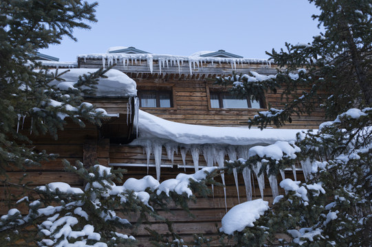 雪景