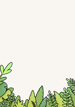 粗邊草叢