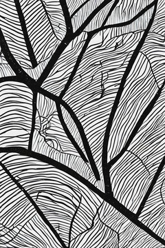 抽象树叶线条黑白肌理装饰画