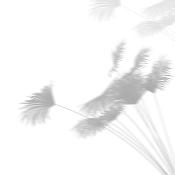 樹影