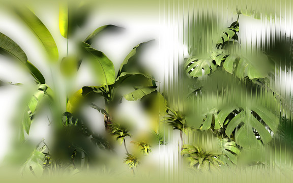 熱帶植物