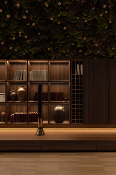 意式极简风格室内设计客厅书柜