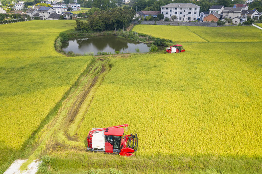 机械收割稻谷航拍