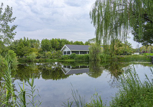 金银湖门口边上的湖景