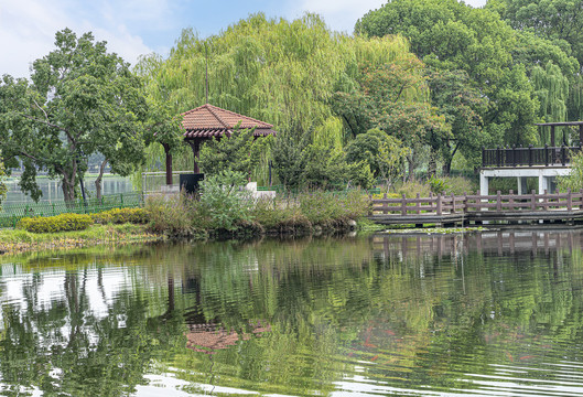 武汉金银湖湿地公园