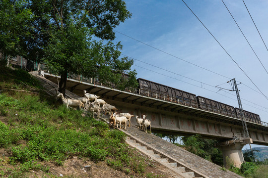 陇海铁路