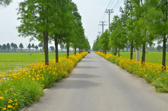 乡村道路