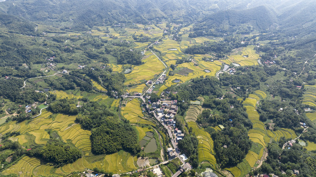 航拍美丽乡村稻田