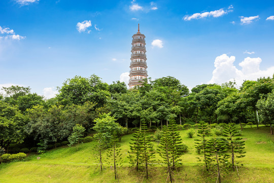 蓝天白云下的广州琶洲塔和绿树
