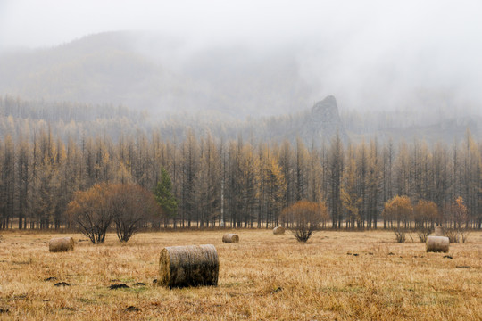 中国东北兴安盟阿尔山秋天风景