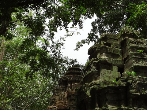 柬埔寨吴哥窟古墓丽影