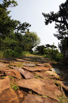 石块路面