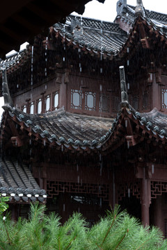 雨水雨天降雨