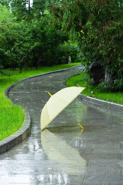 雨水雨天降雨