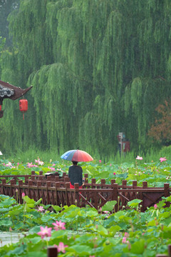 雨中场景