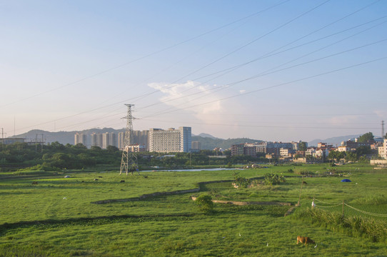 泉州乡村风景