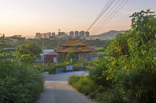 闽南乡间风景