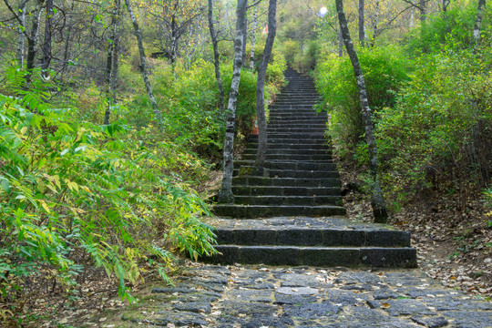 幽静小路