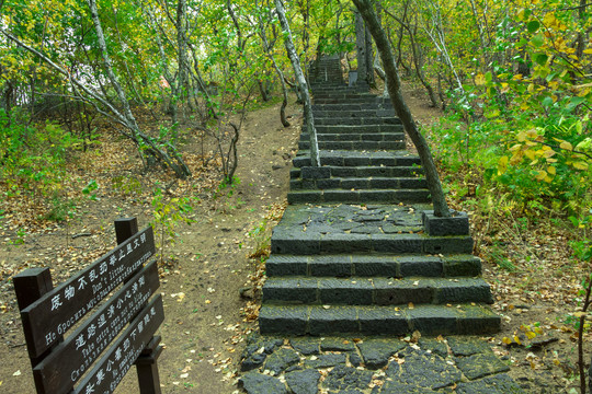 景区山路